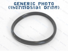 Thermostat gasket/oring